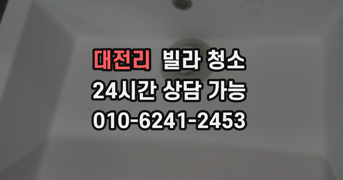 대전리 빌라 청소