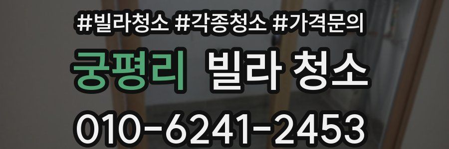 궁평리 빌라 청소