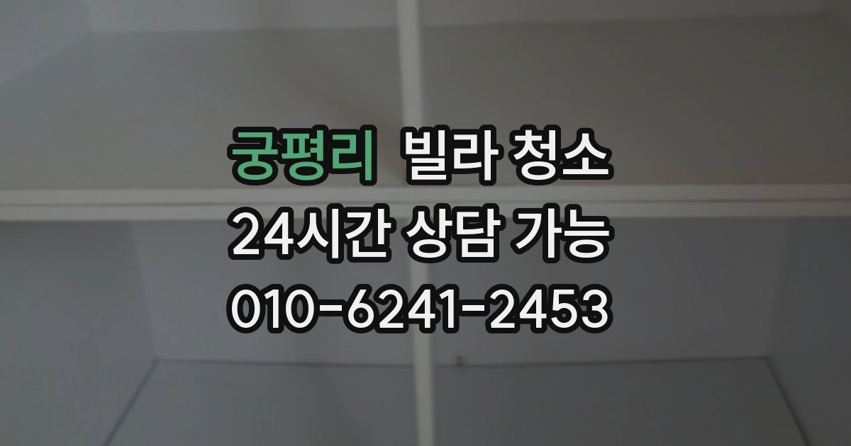 궁평리 빌라 청소