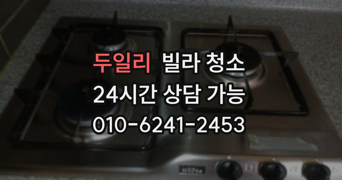 두일리 빌라 청소