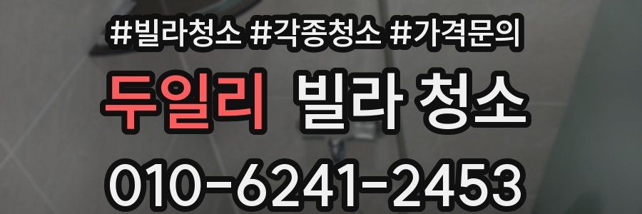 두일리 빌라 청소