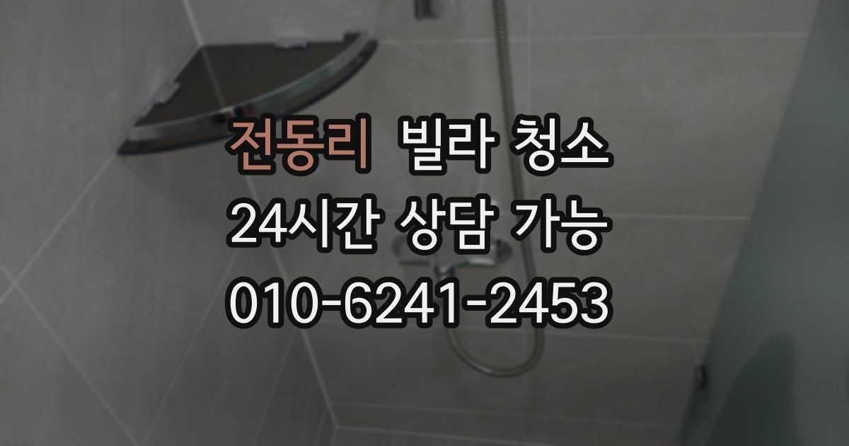 전동리 빌라 청소