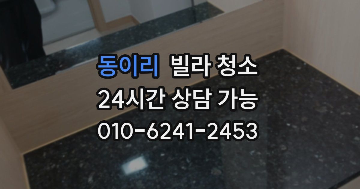 동이리 빌라 청소