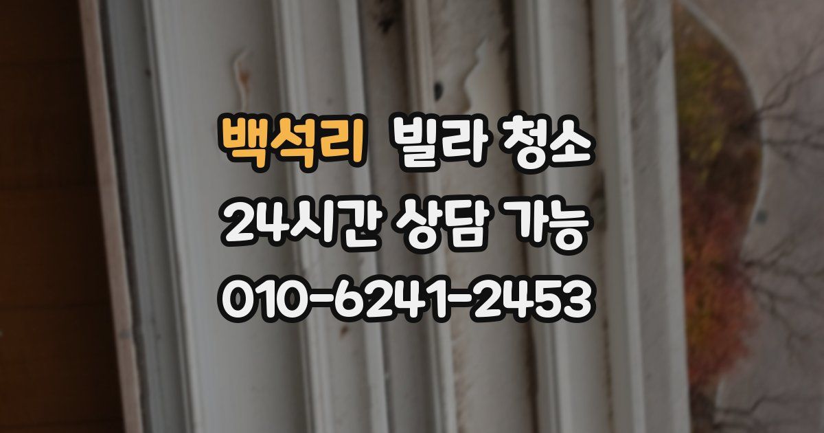 백석리 빌라 청소