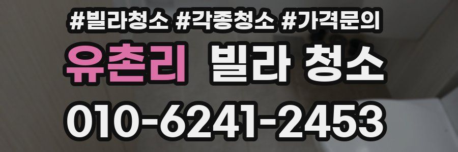 유촌리 빌라 청소