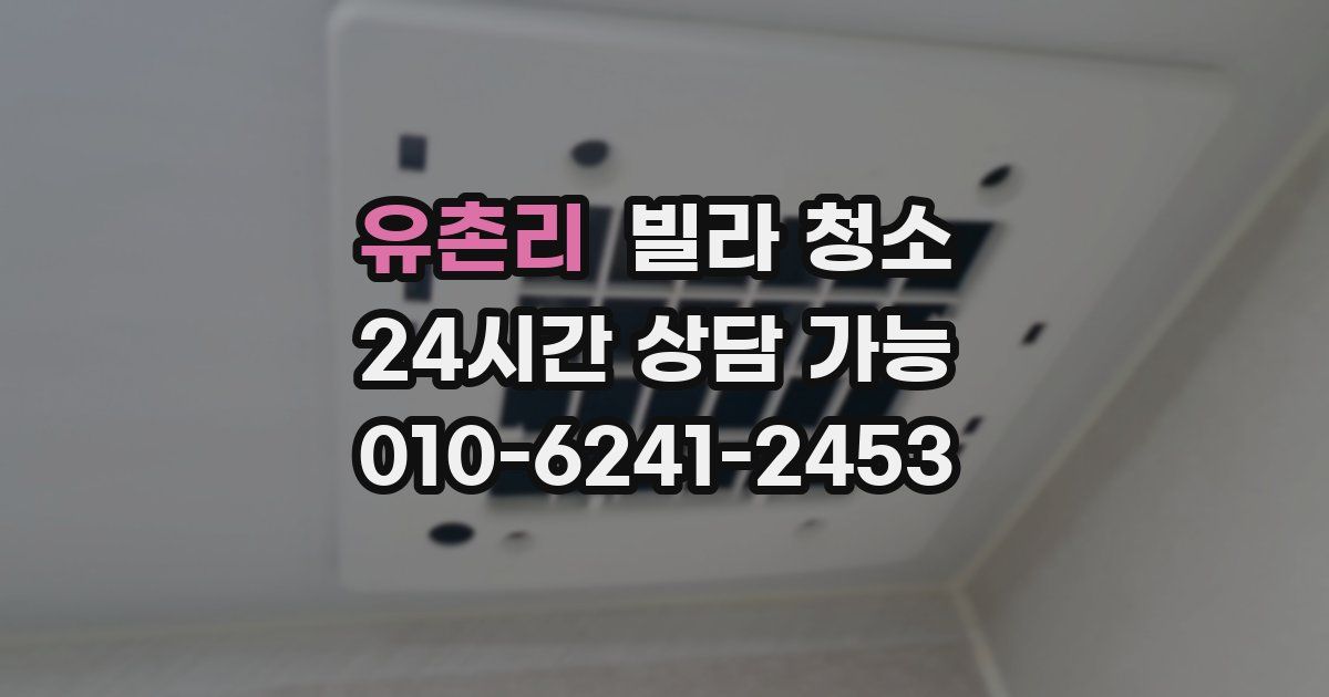 유촌리 빌라 청소