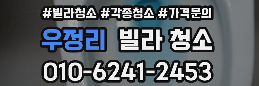 우정리 빌라 청소