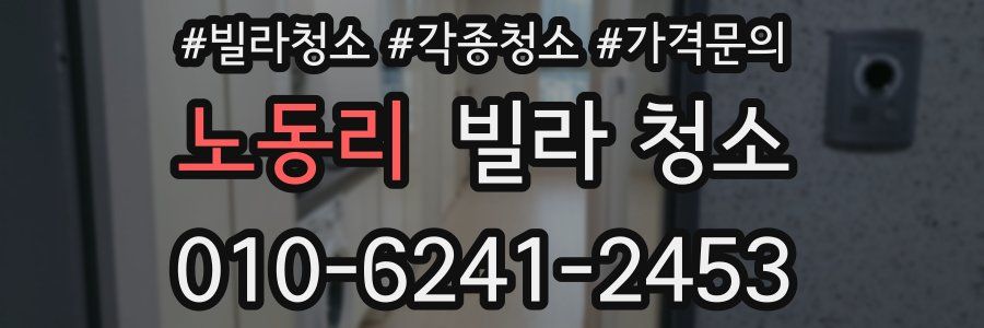 노동리 빌라 청소