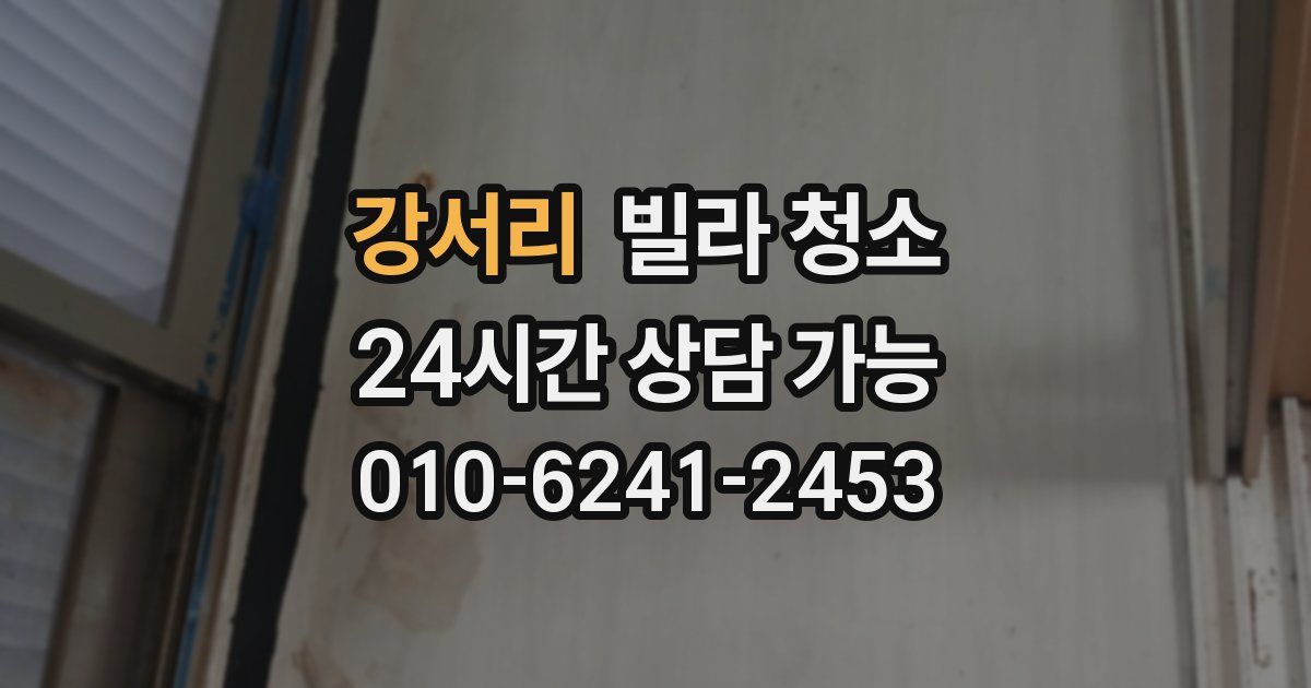 강서리 빌라 청소