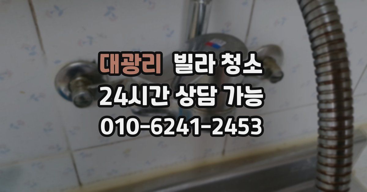 대광리 빌라 청소
