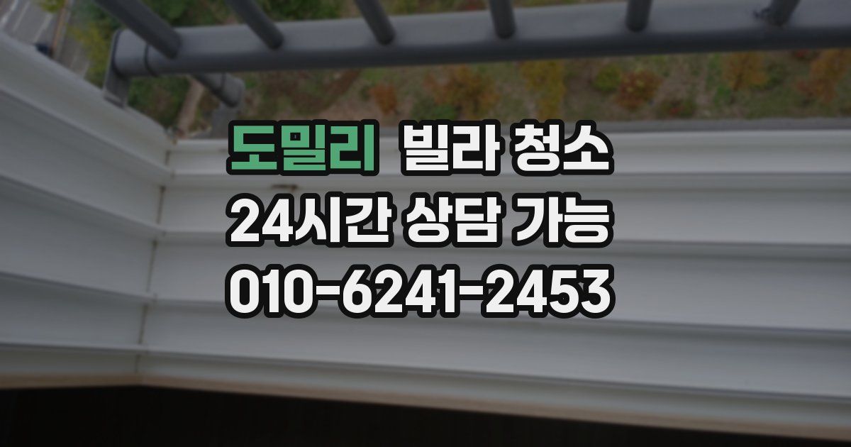 도밀리 빌라 청소