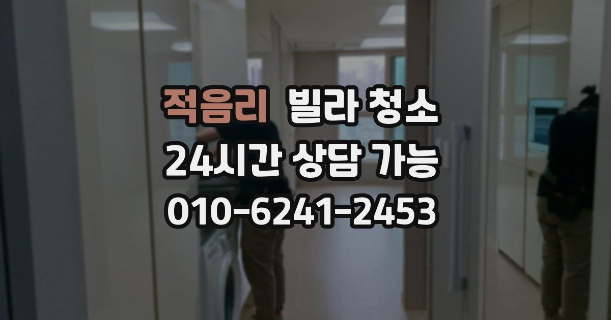 적음리 빌라 청소