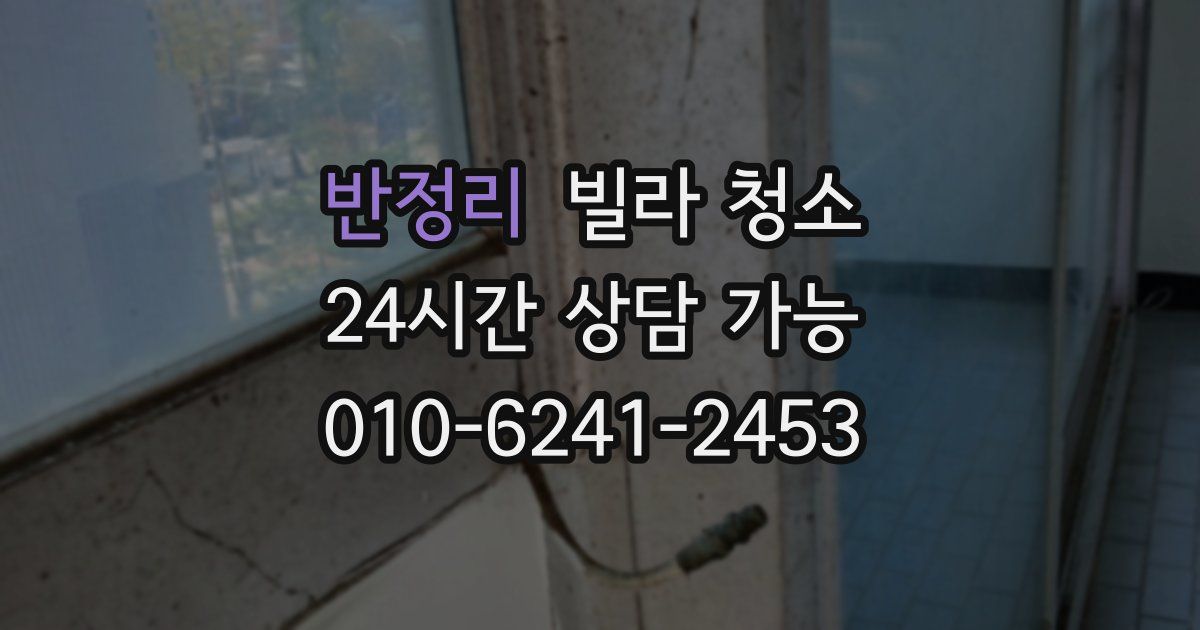 반정리 빌라 청소