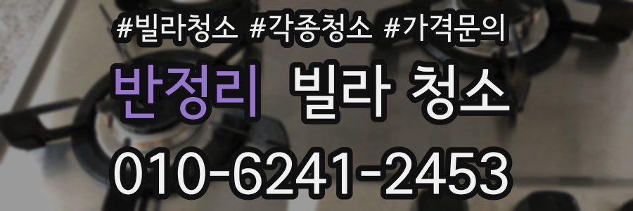 반정리 빌라 청소