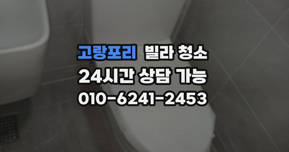 고랑포리 빌라 청소