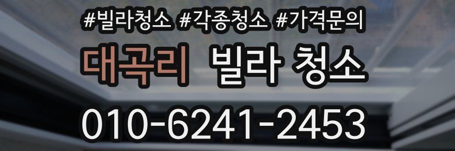 대곡리 빌라 청소