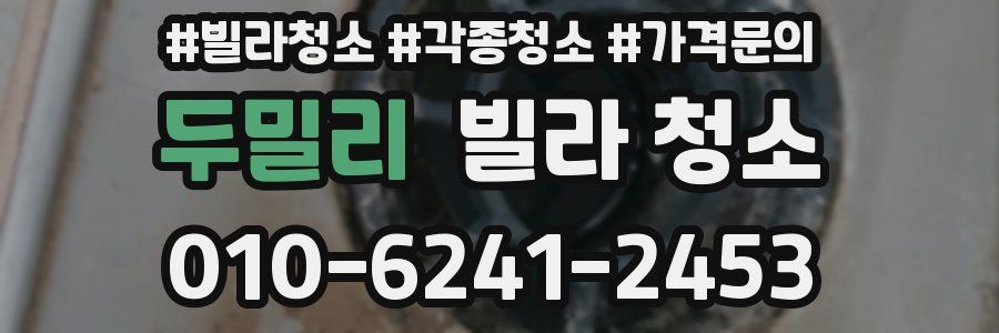 두밀리 빌라 청소