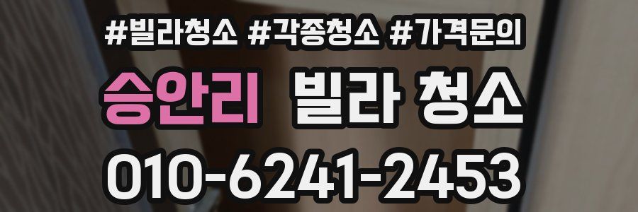 승안리 빌라 청소