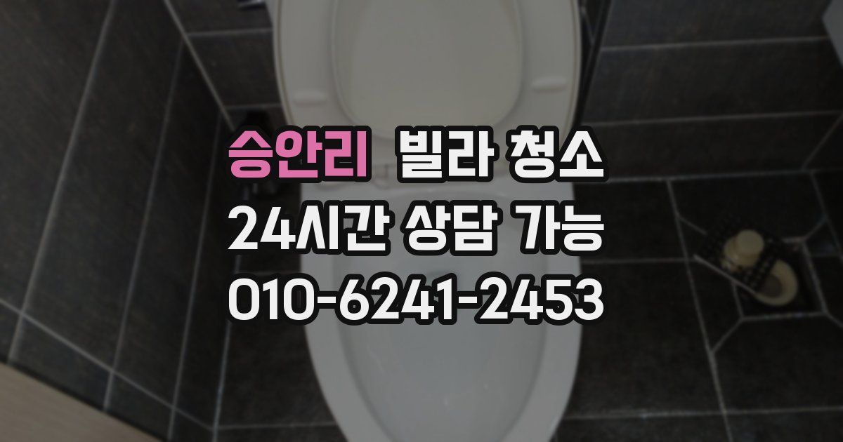 승안리 빌라 청소