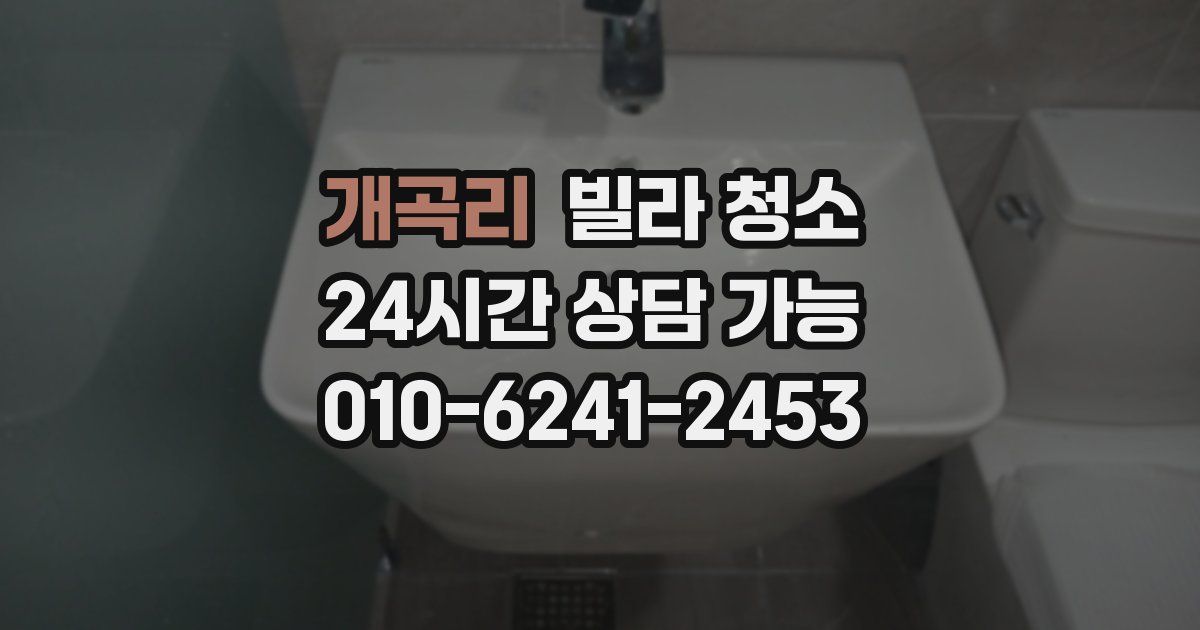 개곡리 빌라 청소