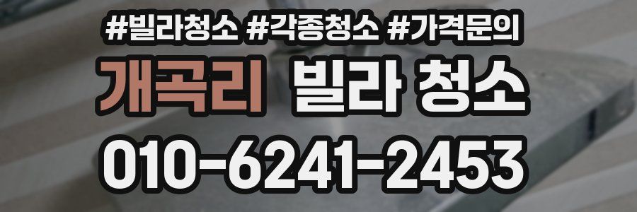 개곡리 빌라 청소