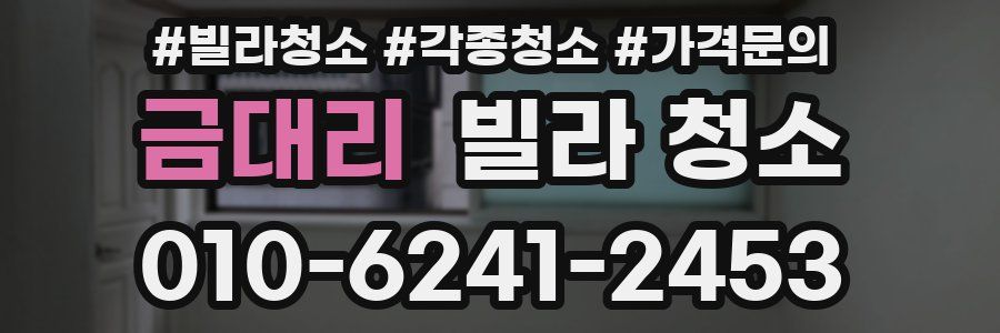 금대리 빌라 청소
