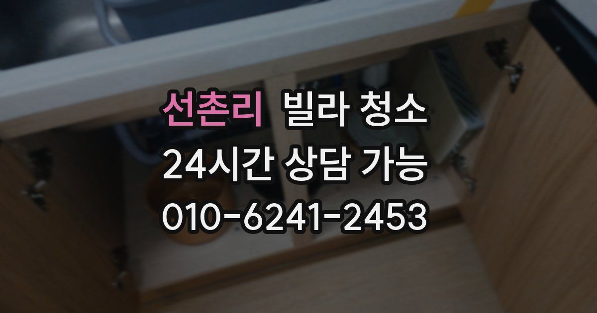 선촌리 빌라 청소