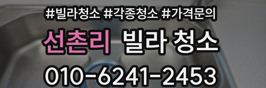 선촌리 빌라 청소