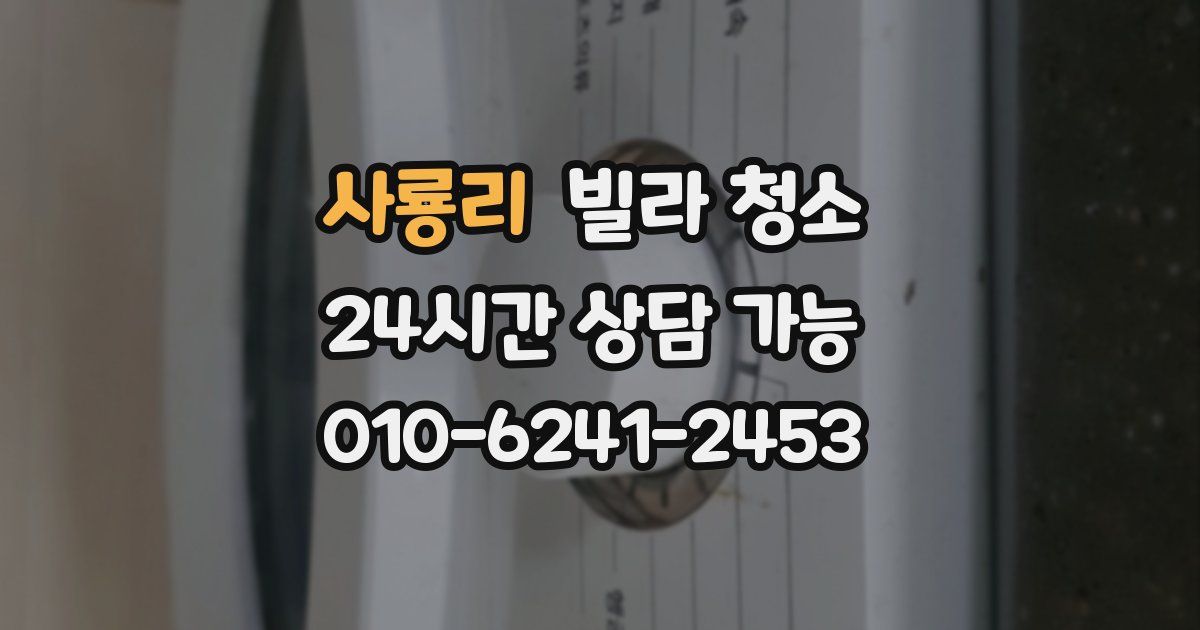 사룡리 빌라 청소