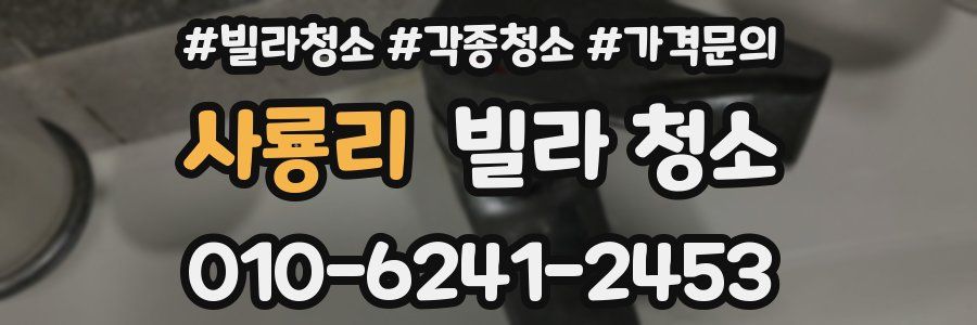 사룡리 빌라 청소