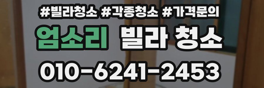 엄소리 빌라 청소
