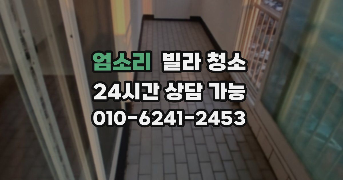 엄소리 빌라 청소