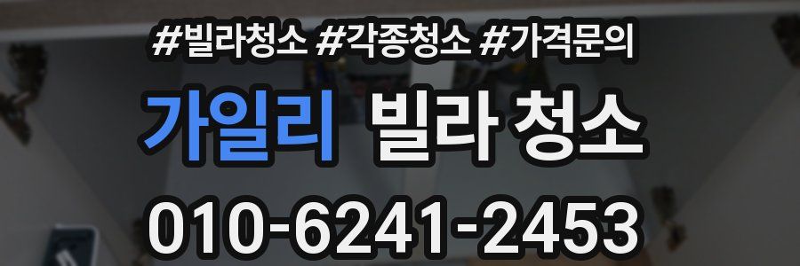 가일리 빌라 청소