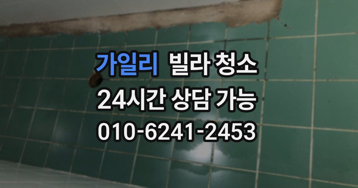 가일리 빌라 청소