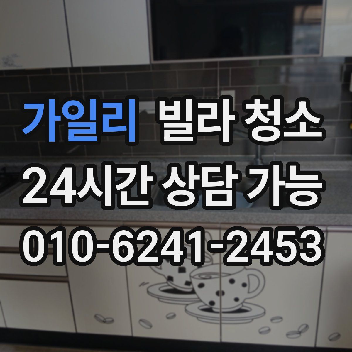 가일리 빌라 청소