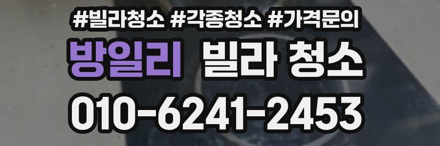 방일리 빌라 청소