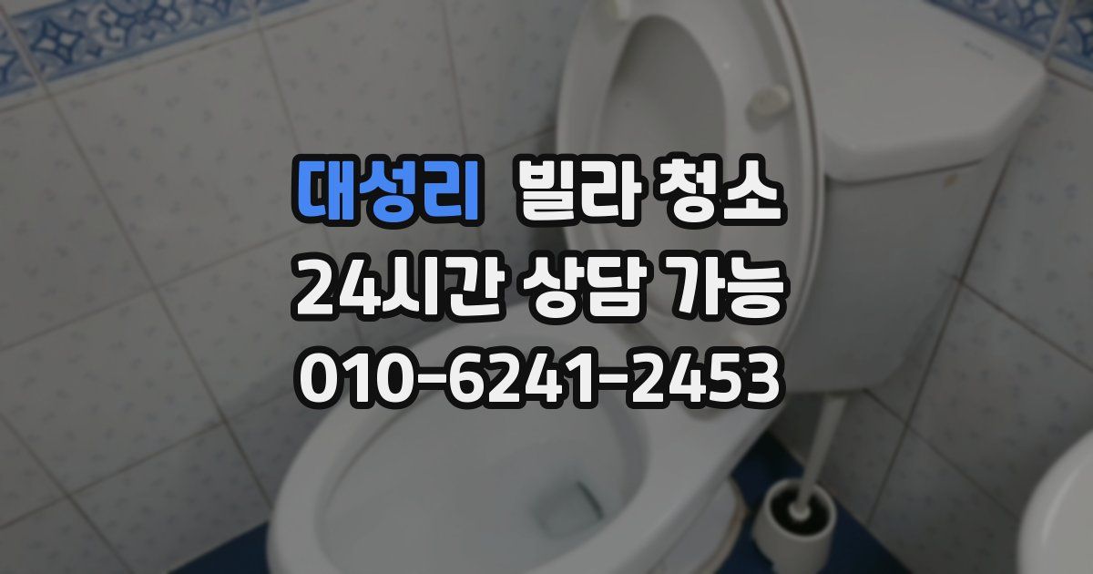 대성리 빌라 청소