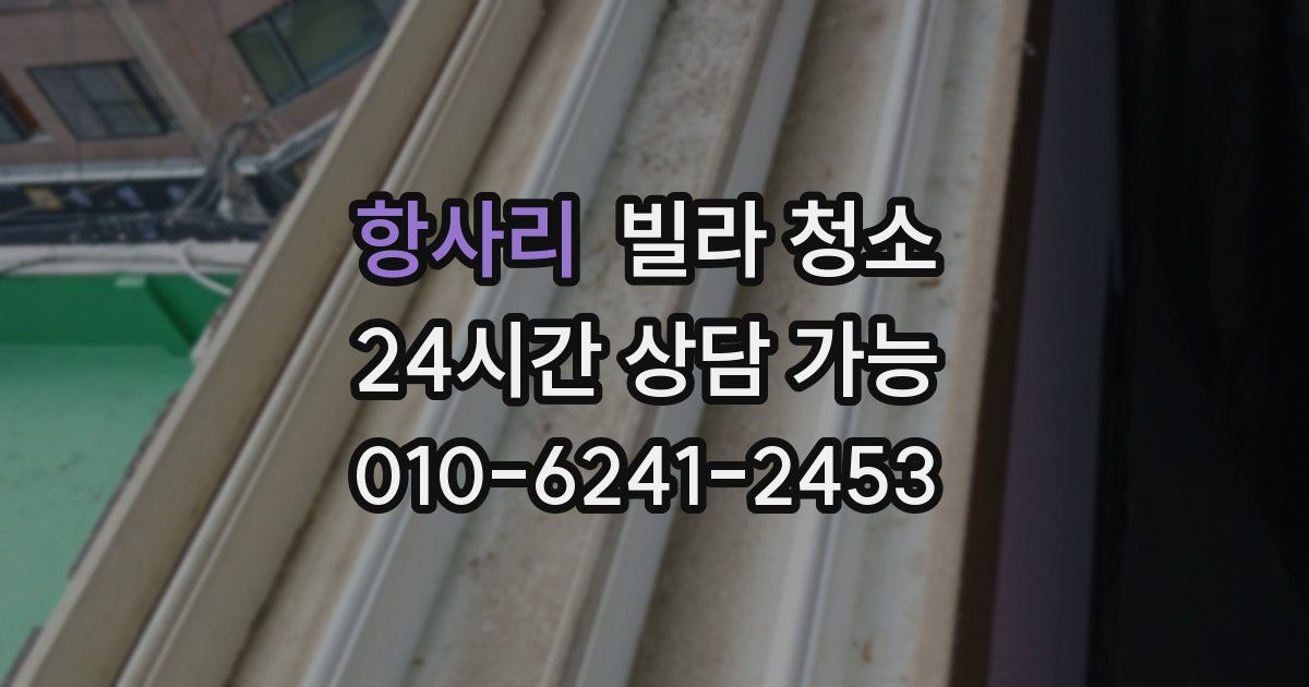 항사리 빌라 청소