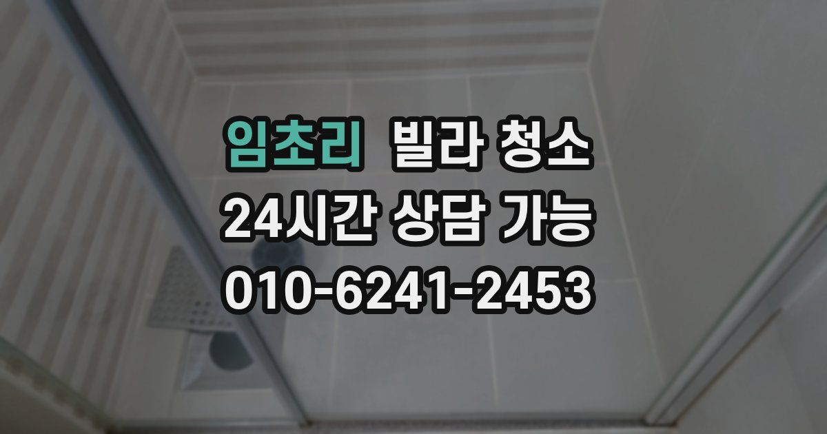 임초리 빌라 청소