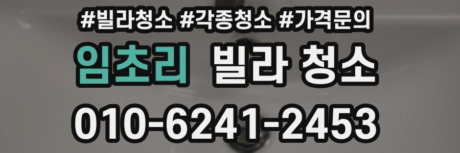 임초리 빌라 청소