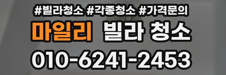 마일리 빌라 청소