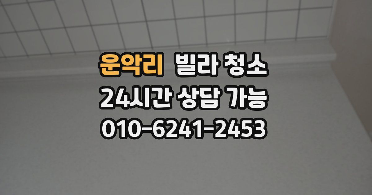 운악리 빌라 청소