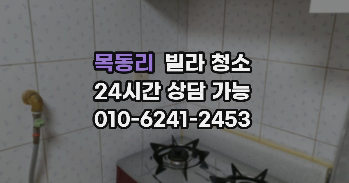 목동리 빌라 청소