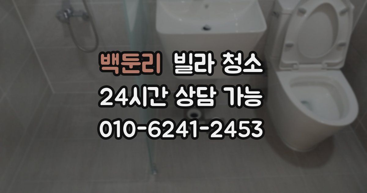 백둔리 빌라 청소