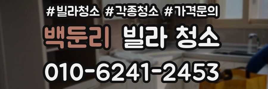 백둔리 빌라 청소