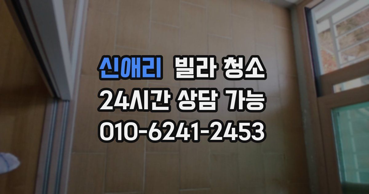 신애리 빌라 청소