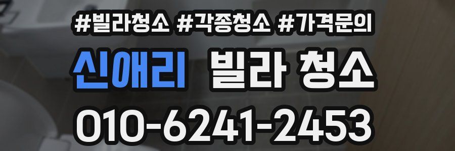 신애리 빌라 청소