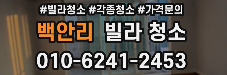 백안리 빌라 청소