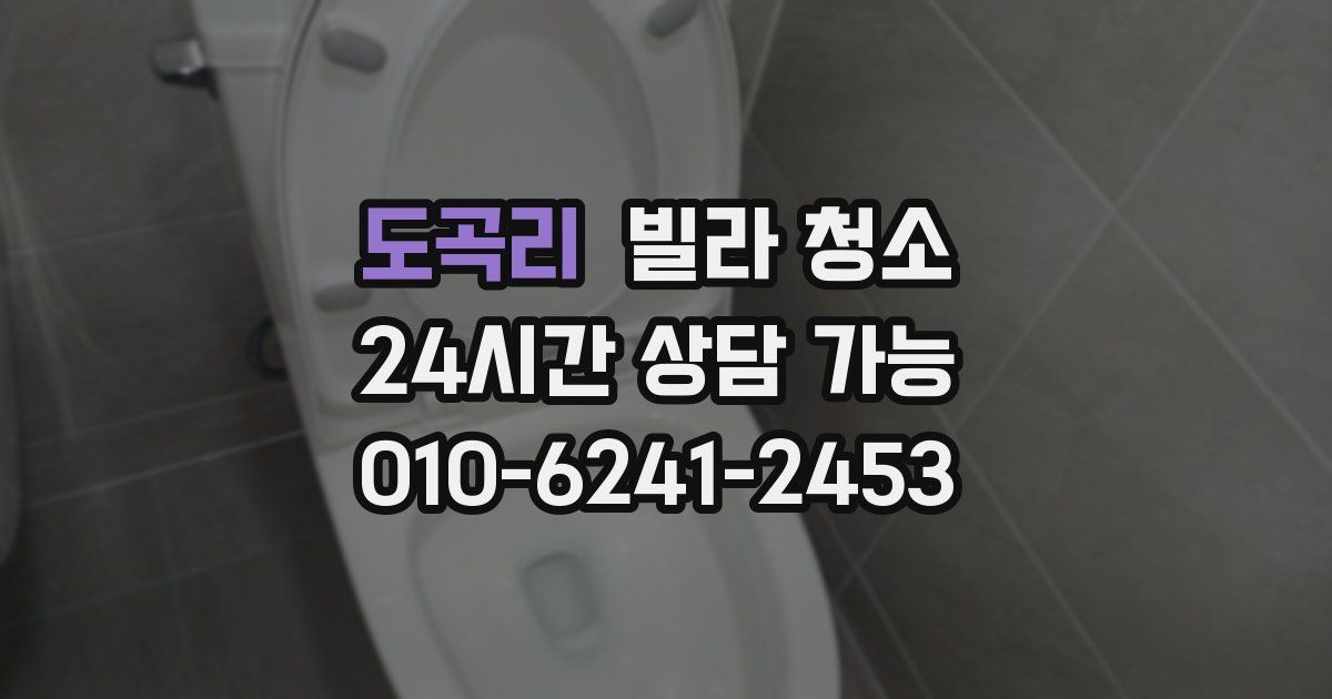 도곡리 빌라 청소