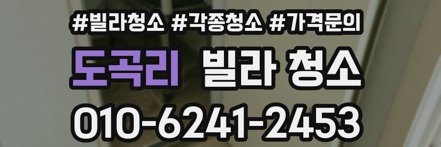 도곡리 빌라 청소